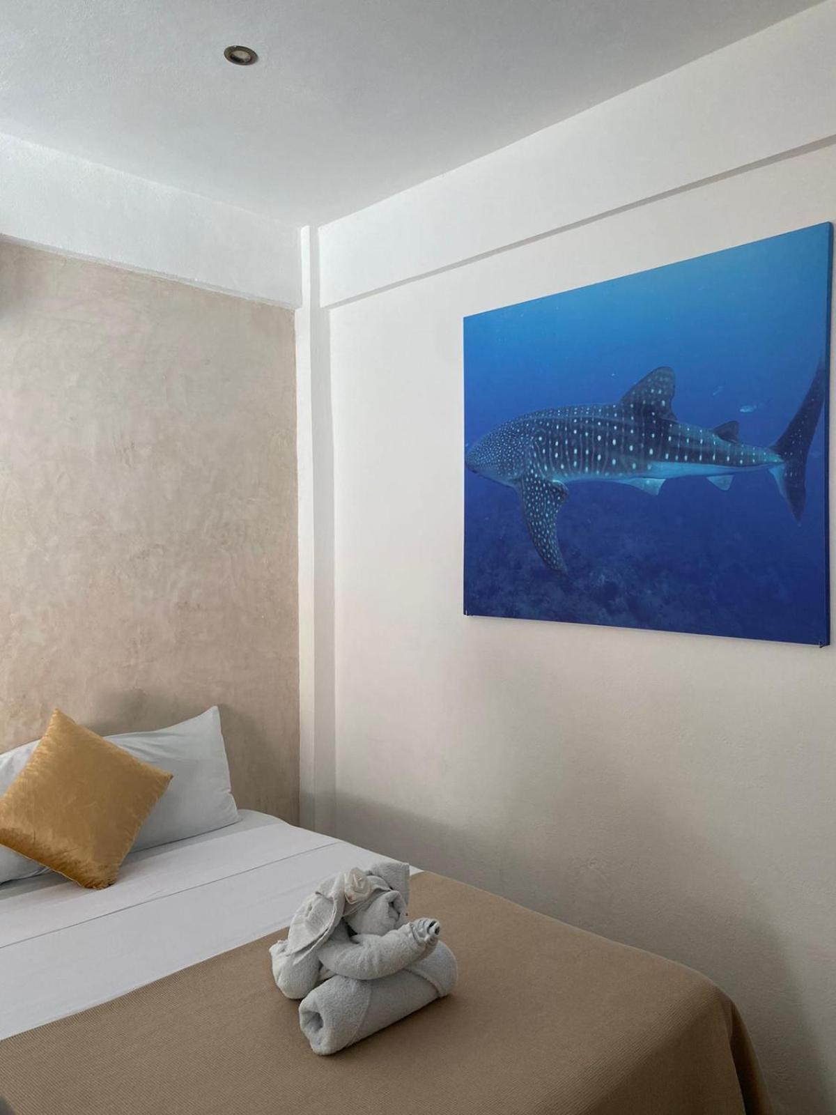 Hotel Pelecanus Suites Holbox Exteriör bild