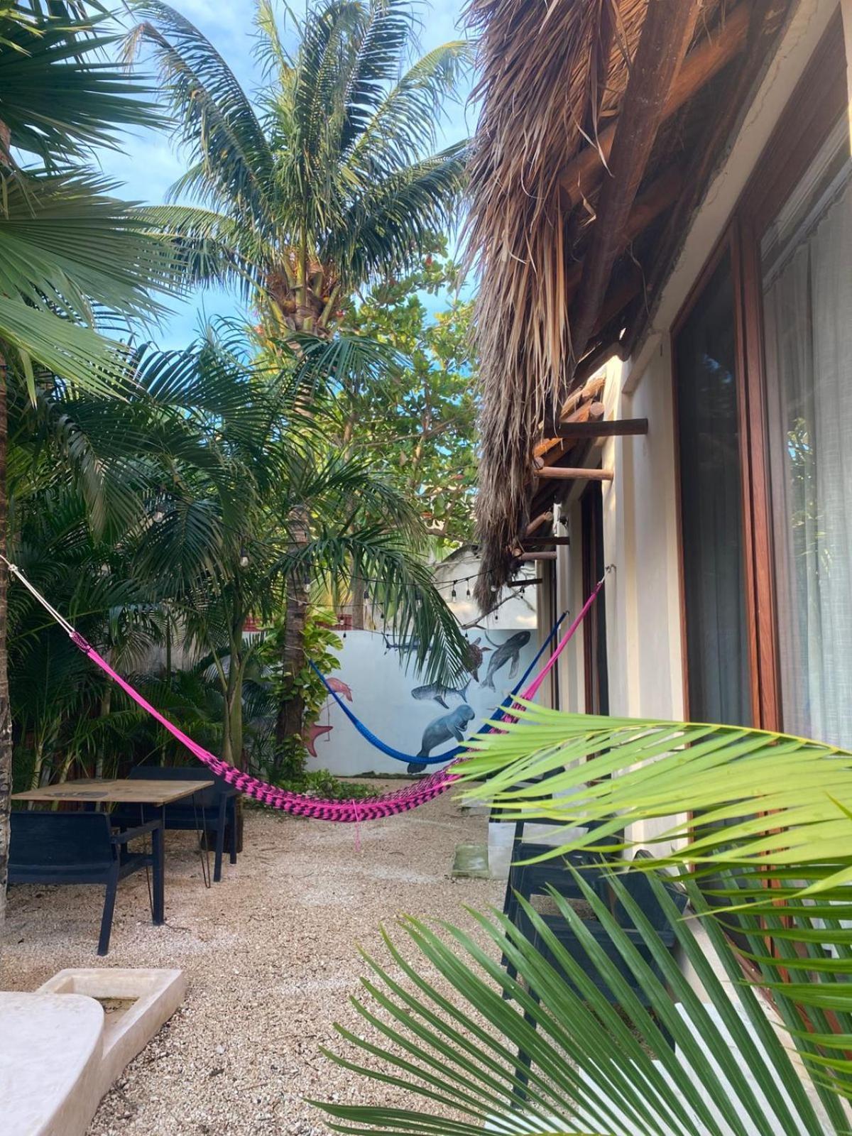 Hotel Pelecanus Suites Holbox Exteriör bild