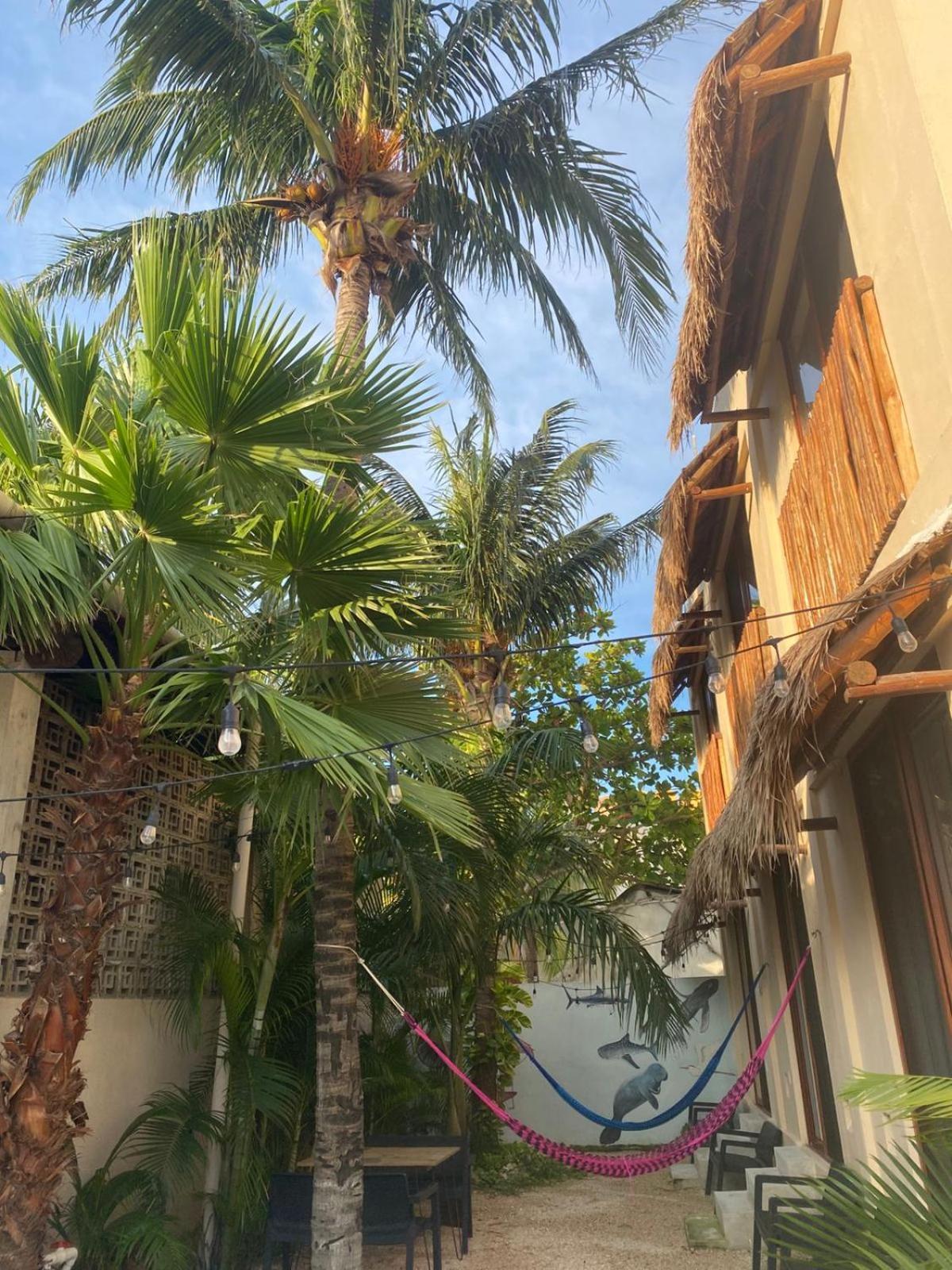 Hotel Pelecanus Suites Holbox Exteriör bild